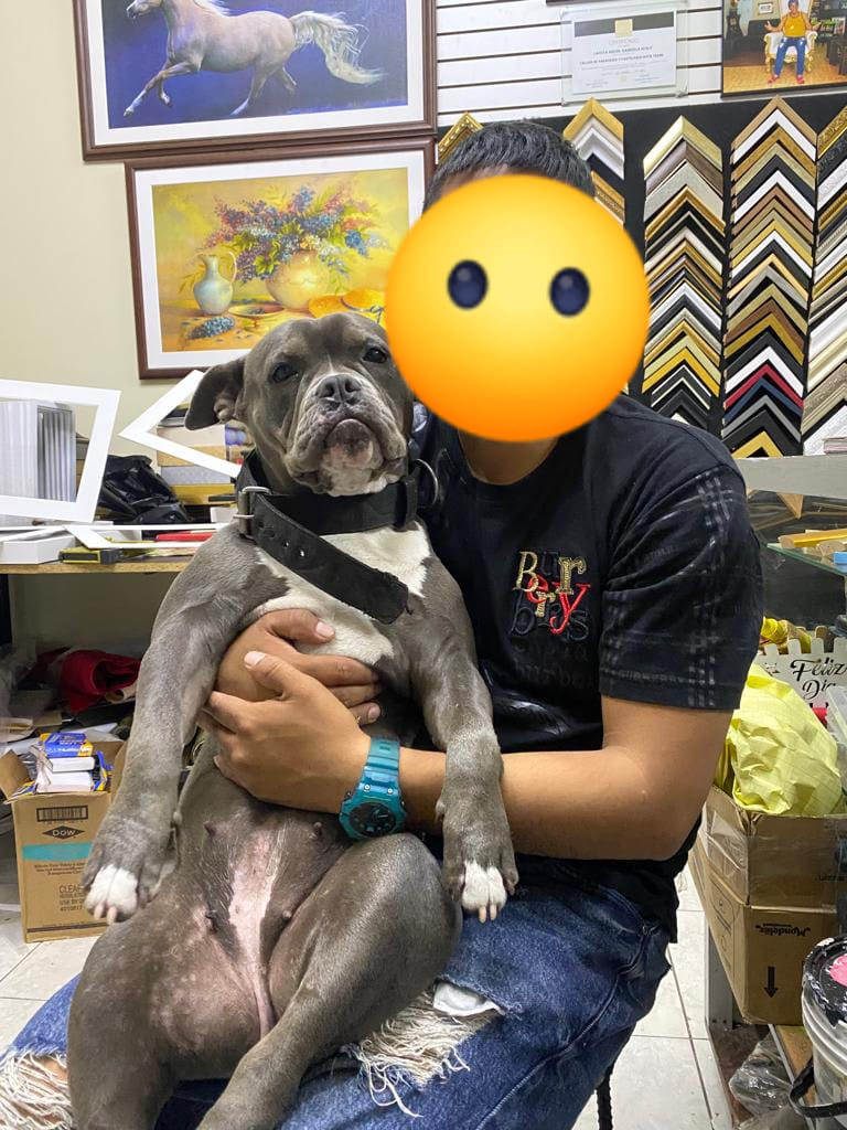 Mia